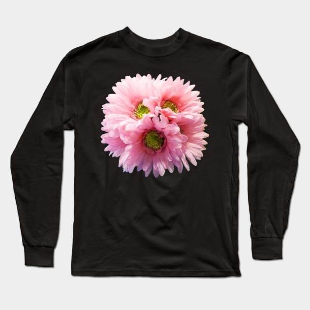 Daisies - A Bunch of Pink Daisies Long Sleeve T-Shirt by SusanSavad